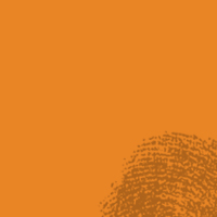 hofbauer media design